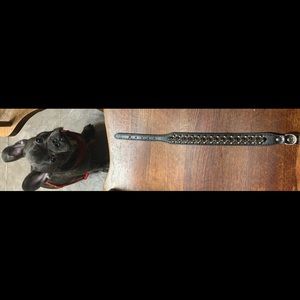 Black leather spiked dog collar.